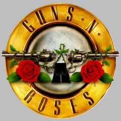 Kaliteli Penye Kadın Erkek Unisex Yetişkin Baskılı Beyaz Gri Siyah Tshirt Guns N Roses Gri