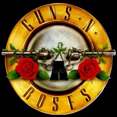 Kaliteli Penye Kadın Erkek Unisex Yetişkin Baskılı Beyaz Gri Siyah Tshirt Guns N Roses Siyah